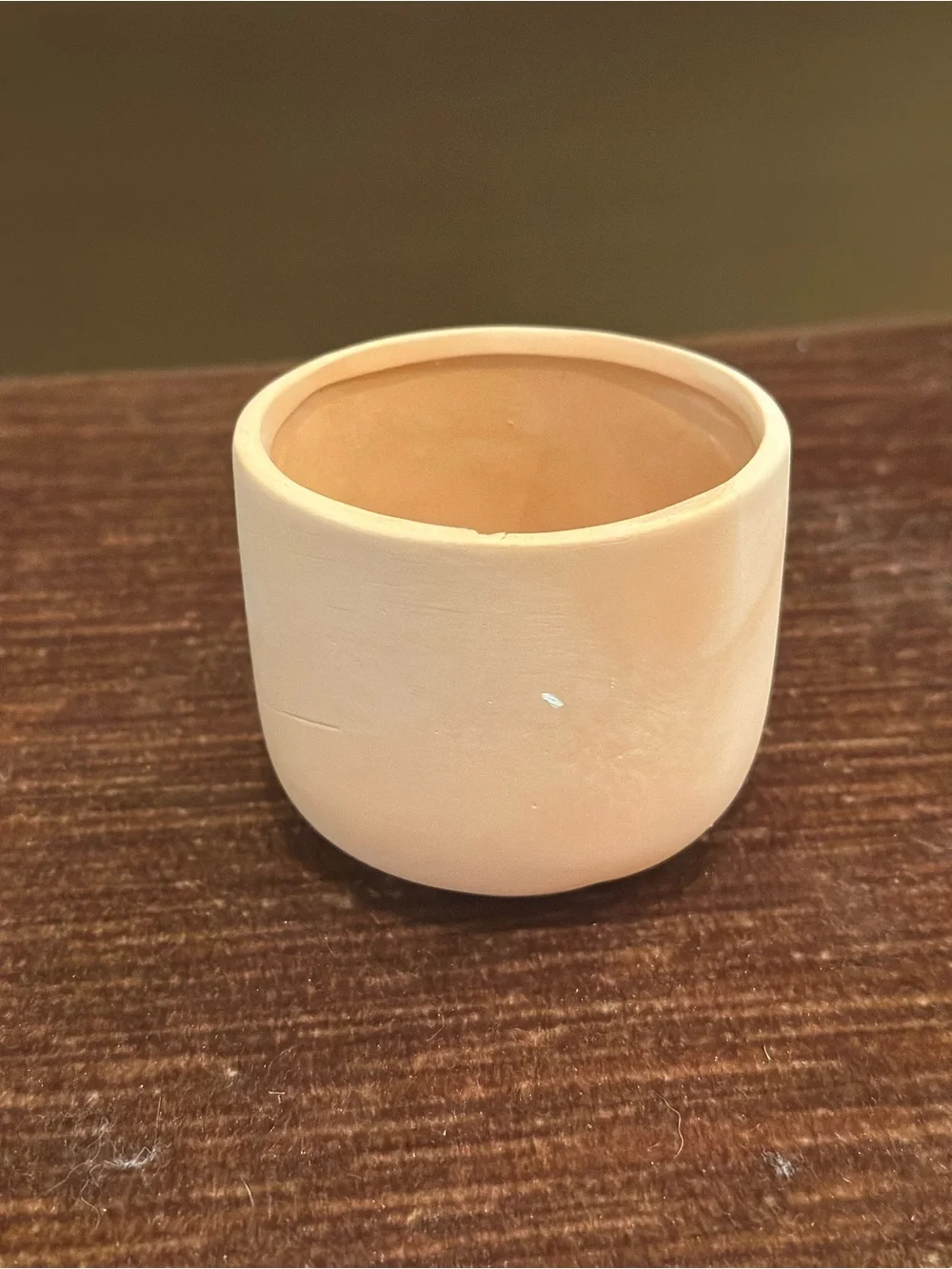 Blush Pink Ceramic Eyelash Vase